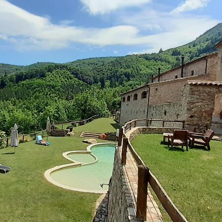 Agroturismo Mas Vilar, Feel At Home Arbúcies 외부 사진
