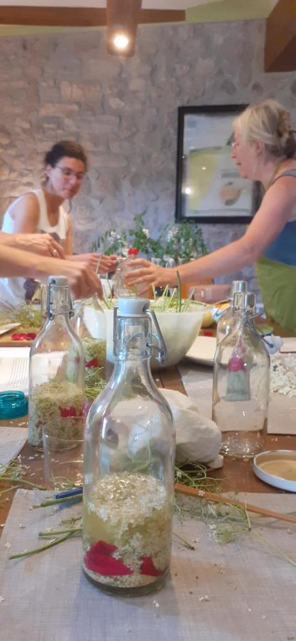 Agroturismo Mas Vilar, Feel At Home Arbúcies 외부 사진